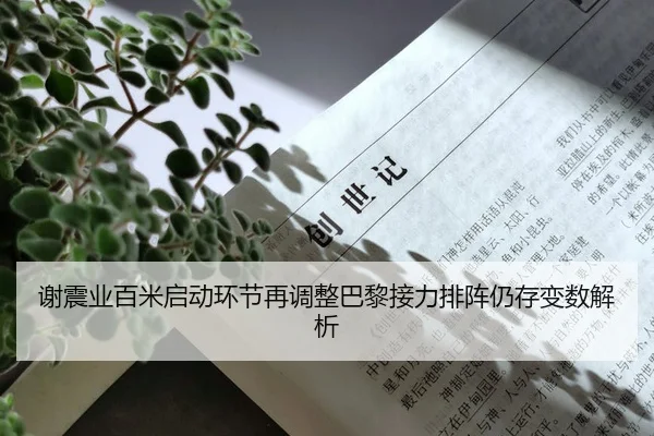 谢震业百米启动环节再调整巴黎接力排阵仍存变数解析