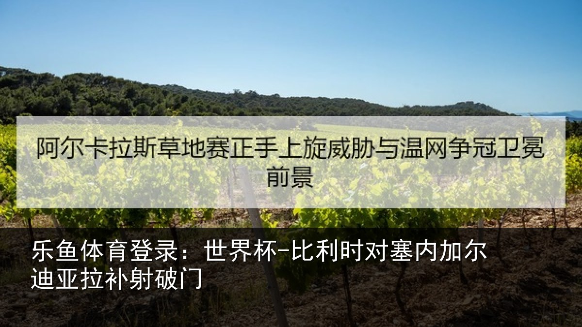 乐鱼体育登录:世界杯-比利时对塞内加尔迪亚拉补射破门