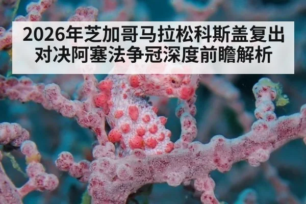 2026年芝加哥马拉松科斯盖复出对决阿塞法争冠深度前瞻解析